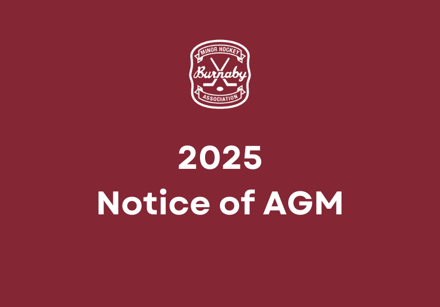 2025 notice of agm (2)